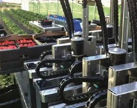機器視覺技術在農業生產中的應用研究