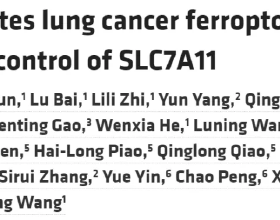 JCI | 汪洋團隊揭示RBMS1透過調控SLC7A11的翻譯從而影響肺癌鐵死亡