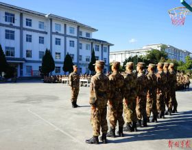 中國資訊板塊：5家龍頭企業，被機構盯上了