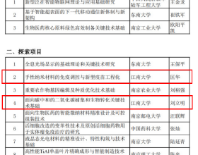 日媒：臺積電日本設廠若獲補助 至少鬚生產10年