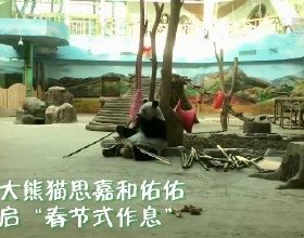 賓士B級對比寶馬2系多功能旅行車，如何選擇！