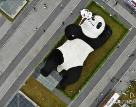 “大黃鴨之父”在中國建了座全球最重大熊貓雕塑：130噸重26米長