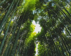 土耳其大師賽資格賽冷門迭爆，丁俊暉等13位國手晉級正賽
