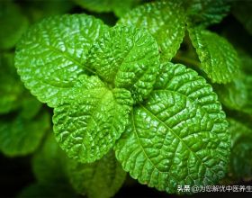 大腦是如何按時間順序組織記憶的