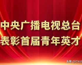 只被動停止研發、銷售燃油動力車型，日產在新能源賽道已經掉隊？