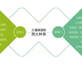 自從買了這5件“人性化”的廚房用品，讓下廚更簡單，真的好幸福