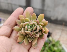 瑞典Hem，靜謐平和的生活美學