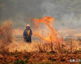 焚燒秸稈是不是農民的無奈之舉呢？你同意這樣的說法嗎？