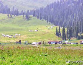新疆伊犁天山下有個美麗的地方，雪山連綿野花盛開，風景遼闊壯觀
