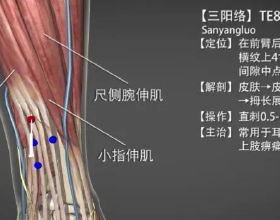 每日提醒你