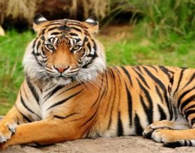 2022義大利滑雪裝備網站Freshfarm海淘轉運教程