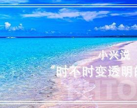 悄悄變強第四十天