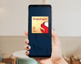 可怕的動物瘟疫：十年間格里芬兀鷲滅絕，候鳥帶來病毒致7人死亡