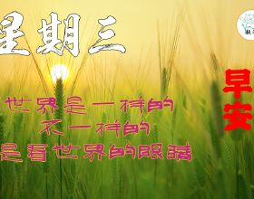 房產百科：毛坯房驗收要注意哪些問題？