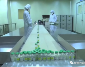 土豆深栽好還是淺栽好？影響深淺的5種原因是什麼？為什麼？