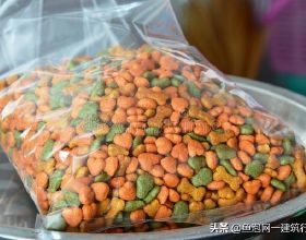 全球利潤最高公司（截至2022年1月16日）