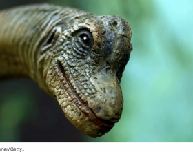 趙又廷姑父的心尖&mdash;&mdash;高圓圓