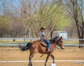 太陽磁場觀測中CMOS影象感測器的應用探究