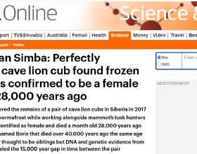潘多拉魔盒開了？西伯利亞幾年前的洞穴獅子屍體，死於28000年前