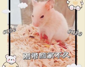 拎的清狠的下心的人，過得不會太差