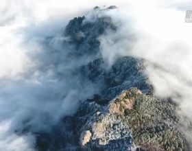 必須把資料發到美國？美國IT科技巨頭放話：不排除停止使用者服務