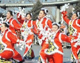 6種“懶人花”，看著很普通，養著很“實惠”，養得越久越覺得好