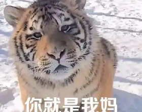 女方守寡十年，能不能帶著男方的房產改嫁？