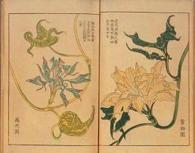 東野圭吾《夢幻花》：江戶時代的“詛咒之花”，更是對人性的拷問