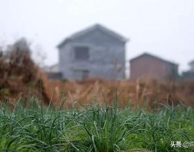 java電商ERP原始碼 跨境電商ERP原始碼 ERP原始碼