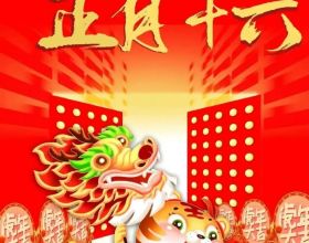 分享圖片——恣意揮灑青春自由的火烈鳥
