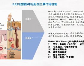 薇婭曾被要求整改，為什麼不為所動！在法律面前，她哪來的底氣