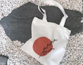 淺談洪氏環企鵝的飼養管理及其行為習慣