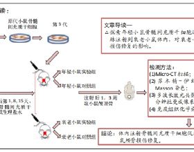 為什麼會沒有幸福感？