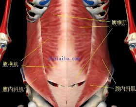 曾軼可小姐姐不一樣的美