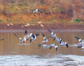 請問炒股每次買進和賣出都要交印花稅，過戶費，手續費這三項嗎
