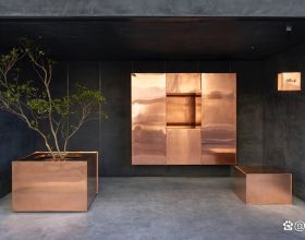 藍額紅尾鴝