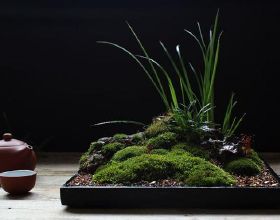 這些常見的&OpenCurlyDoubleQuote;中藥零食&rdquo;你吃對了嗎？