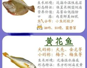 &quot&semi;只要醫生沒說放棄，我們就不許你先放棄&quot&semi;兄妹四人共克腸癌