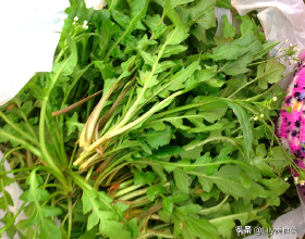 傳承嶺南文化打造傳奇經典 電視劇《鬱鬱蔥蔥》順利殺青