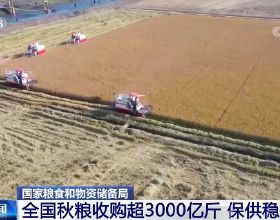 排面！《鄉村愛情14》收官，趙家班集體營業為謝騰飛過80大壽