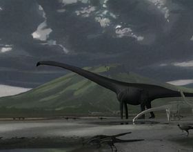 中國隊金牌九宮格