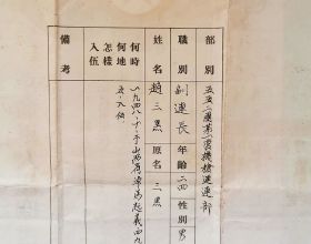 炸肉丸子的家常做法，外酥裡嫩，香而不膩