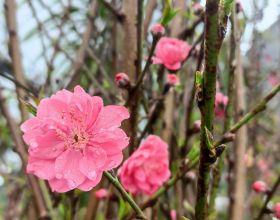 女兒結婚前父母應該做的 5 件事