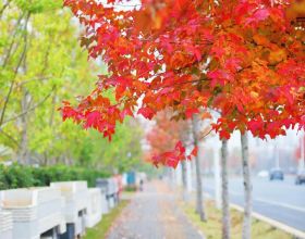 佛山市中心的網紅商業區，既現代又傳統，被稱為“廣東版太古裡”