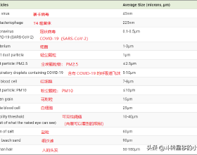 長期吃蘋果改善身材，真的有效果嗎？身體發生哪些變化？