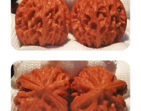 1966年，湖北一工地發現青銅器，揭開千年前神秘古國的面紗