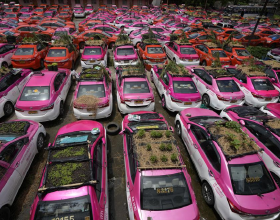 泰國曼谷2500輛計程車受疫情封鎖打擊被閒置 運營商車頂種菜引關注
