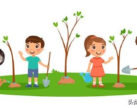 全世界的IT工程師共有2137萬人