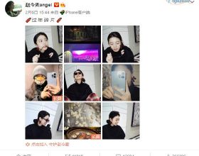 唐專員迴歸巨神戰擊隊，也只是偶爾客串？