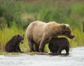 黑鐵時代！前員工痛斥千億房企：理財沒兌，人被裁了